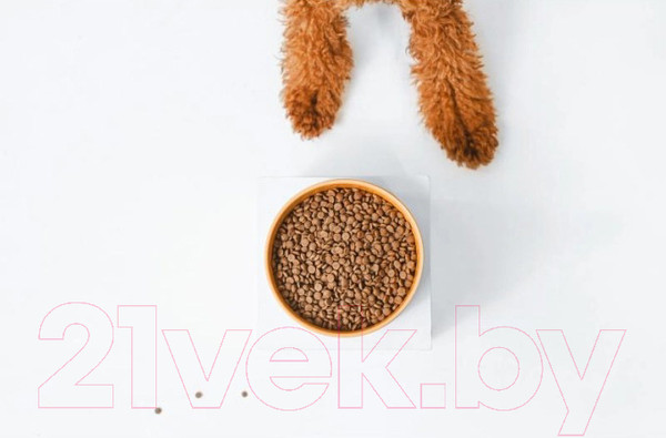 Изображение товара Сухой корм для собак Nature's Protection SC Red Coat Grain Free Salmon / NPSC47228 (1.5кг)