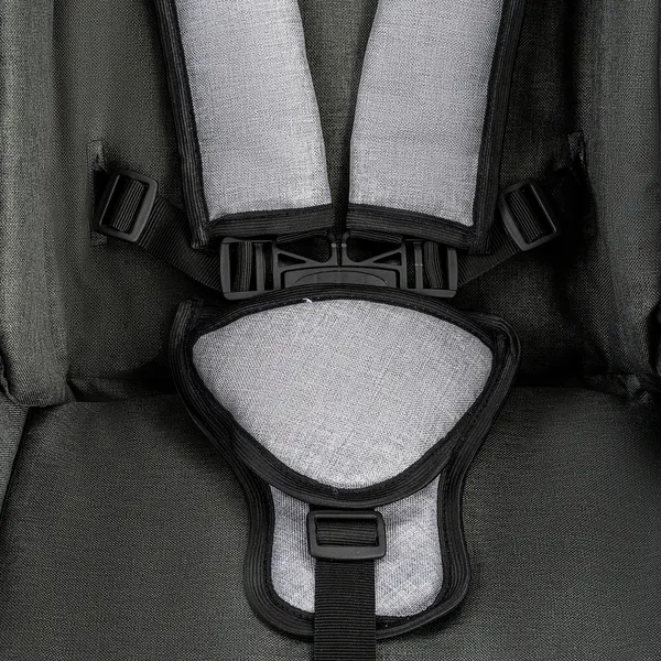 Изображение товара Детская универсальная коляска Alis Alvaro 2 в 1 (Al 10, темно-серый/светло-серый/шалфей кожа)