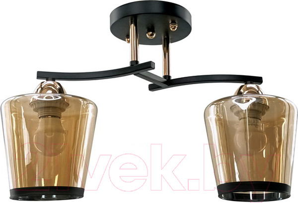 Изображение товара Потолочный светильник Aitin-Pro НПБ 02-2x60-101 / 9072/2 (черный/золото)