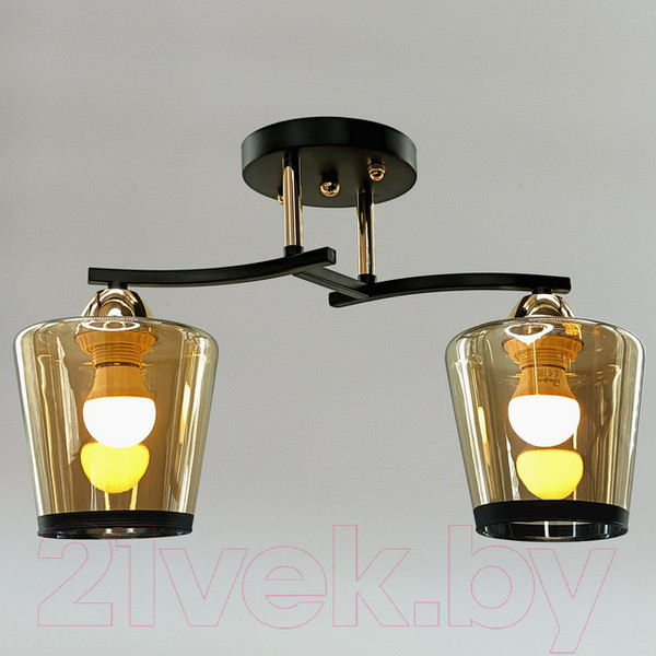 Изображение товара Потолочный светильник Aitin-Pro НПБ 02-2x60-101 / 9072/2 (черный/золото)