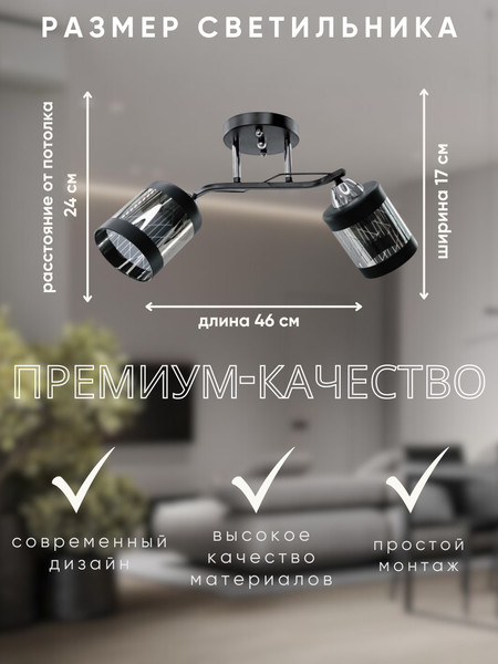 Изображение товара Потолочный светильник Aitin-Pro НПБ 02-2x60-101 / 9096/2 (черный/хром)