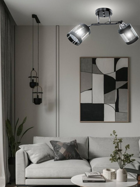 Изображение товара Потолочный светильник Aitin-Pro НПБ 02-2x60-101 / 9096/2 (черный/хром)