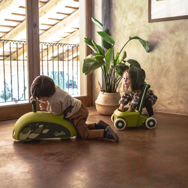 Изображение товара Ходунки-каталка Italtrike Roberto / 4020ROB995658 (зеленый)