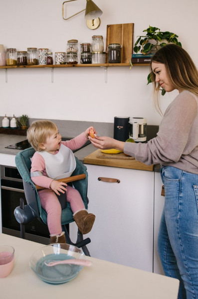 Изображение товара Вкладыш в стульчик для кормления Beaba Assise Chaise Up&Down Laurier 915041