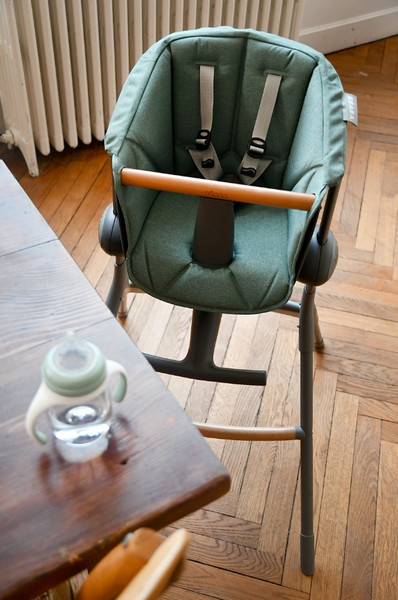 Изображение товара Вкладыш в стульчик для кормления Beaba Assise Chaise Up&Down Laurier 915041