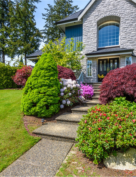 Изображение товара Фотообои листовые Citydecor Природа 101 (200x260см)