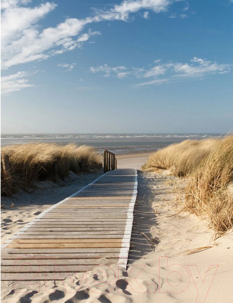 Изображение товара Фотообои листовые Citydecor Природа 13 (200x260см)