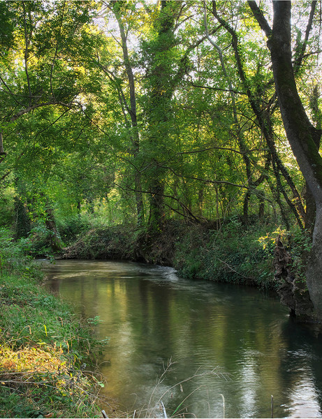 Изображение товара Фотообои листовые Citydecor Природа 93 (200x260см)