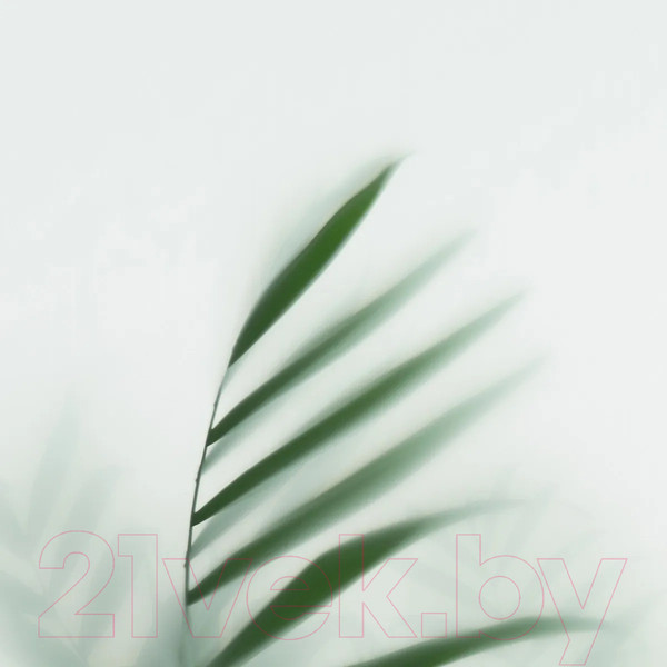 Изображение товара Фотообои листовые Citydecor Цветы и Растения 155 (200x260см)