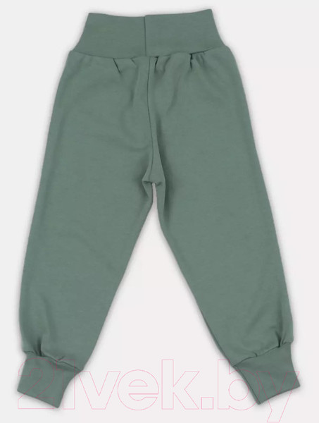 Изображение товара Набор штанов для малышей Rant Mosaic / 3275/2 (р.74, зеленый)