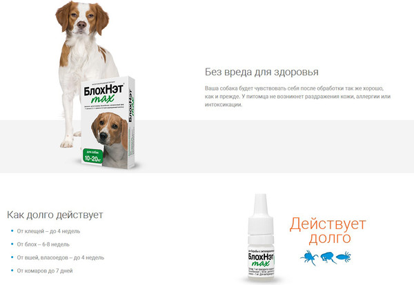 Изображение товара Капли от блох БлохНэт Max для собак с массой тела от 10кг до 20кг (2мл)