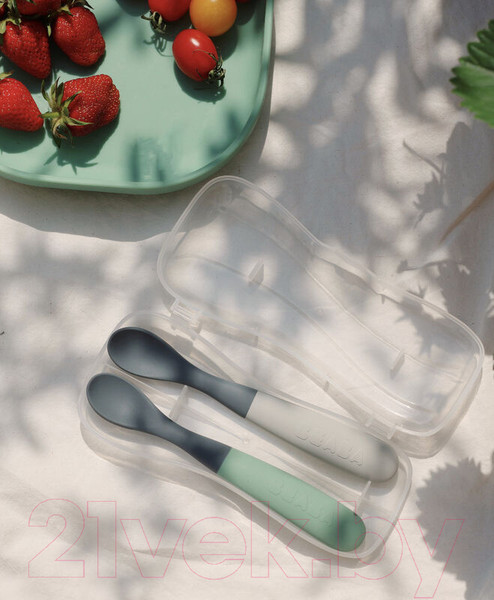 Изображение товара Набор столовых ложек для кормления Beaba Lot 2 Cuil Sil 1 Age Bi-T M/Gr 913574