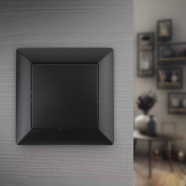 Изображение товара Выключатель INTRO Solo 4-101-05 / Б0053548 (антрацит)