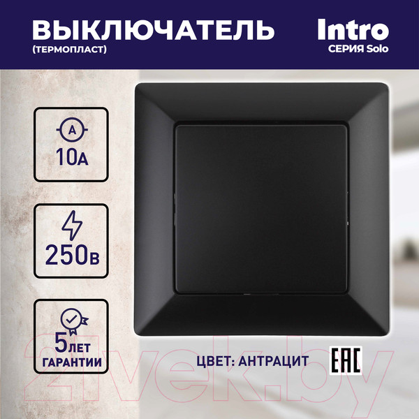 Изображение товара Выключатель INTRO Solo 4-101-05 / Б0053548 (антрацит)
