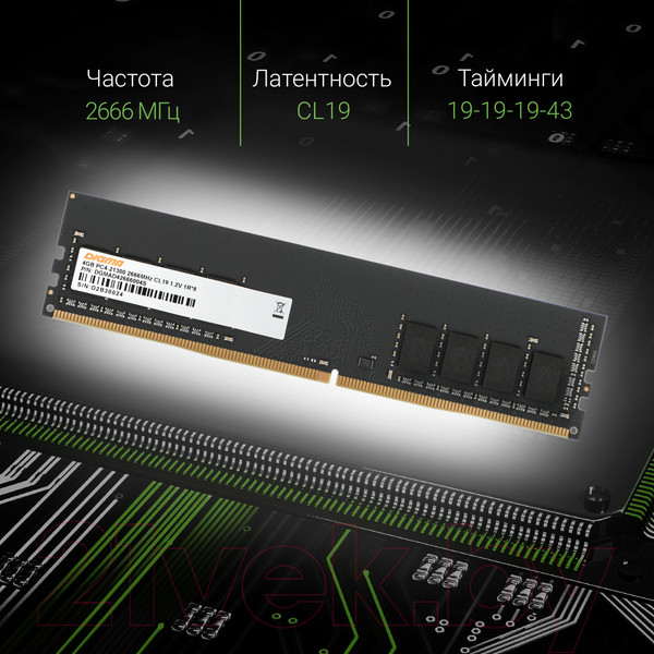 Изображение товара Оперативная память DDR4 Digma DGMAD42666004S