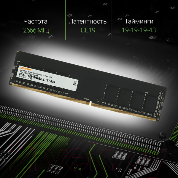 Изображение товара Оперативная память DDR4 Digma DGMAD42666008S