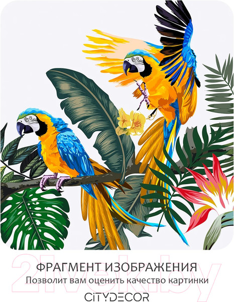 Изображение товара Фотообои листовые Citydecor Абстракция 394 (300x150см)