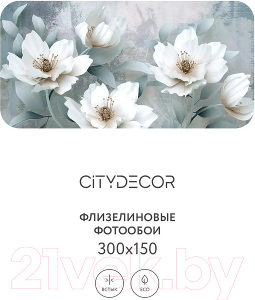 Изображение товара Фотообои листовые Citydecor Абстракция 41 (300x150см)