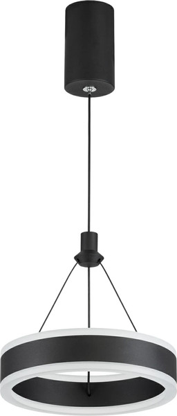 Изображение товара Потолочный светильник Citilux Дуэт CL719011 (черный)