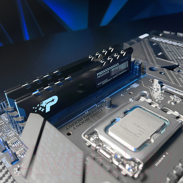 Изображение товара Оперативная память DDR5 Patriot PSP524G560081H1