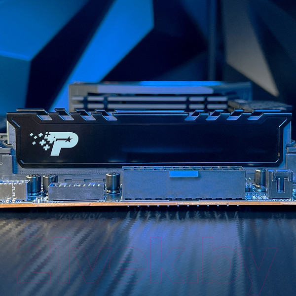 Изображение товара Оперативная память DDR5 Patriot PSP524G560081H1