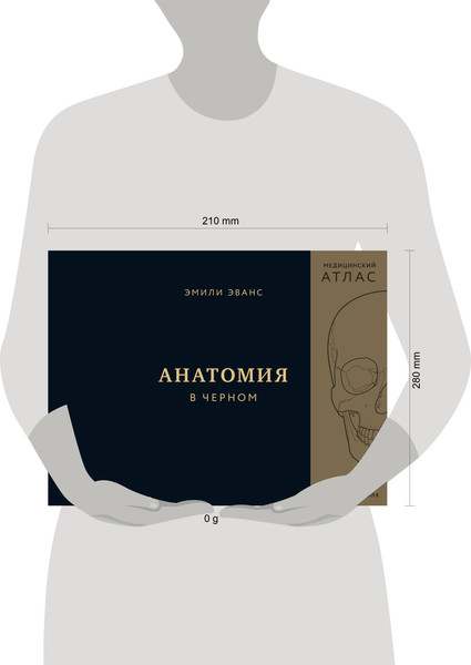 Изображение товара Энциклопедия Бомбора Анатомия в черном, твердая обложка (Эванс Эмили)