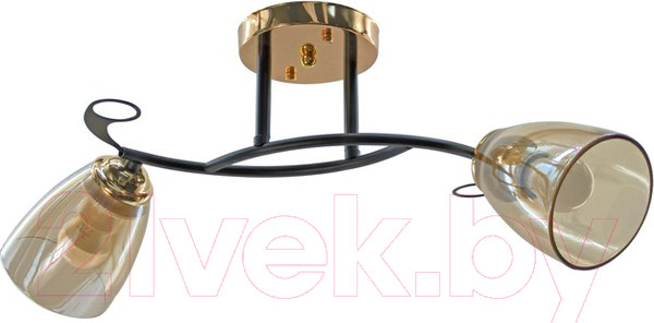 Изображение товара Потолочный светильник Aitin-Pro НПБ 02-2x60-101 / A4088/2 (черный/золото)