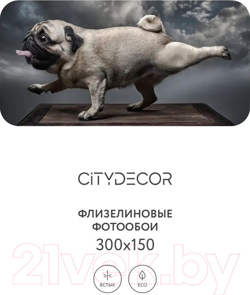 Изображение товара Фотообои листовые Citydecor Животные и Птицы 13 (300x150см)
