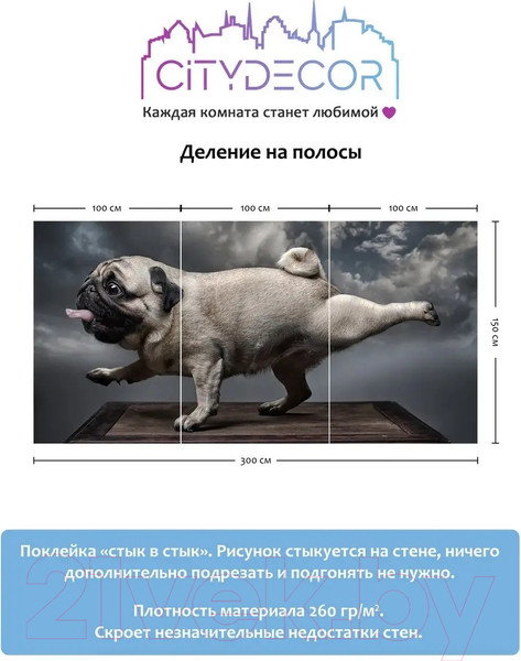 Изображение товара Фотообои листовые Citydecor Животные и Птицы 13 (300x150см)