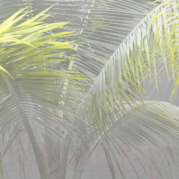 Изображение товара Фотообои листовые Citydecor Знойные тропики 9 (300x150см)