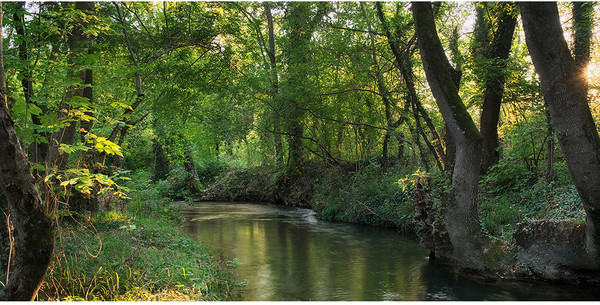 Изображение товара Фотообои листовые Citydecor Природа 93 (300x150см)