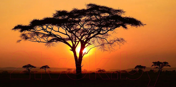 Изображение товара Фотообои листовые Citydecor Природа 94 (300x150см)