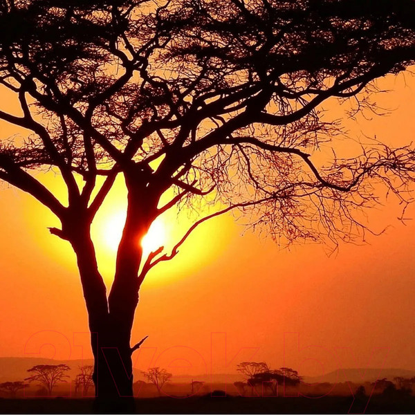 Изображение товара Фотообои листовые Citydecor Природа 94 (300x150см)