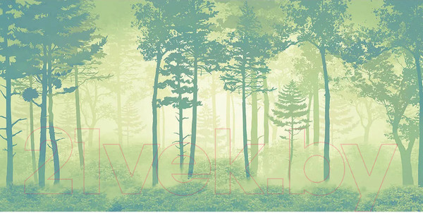 Изображение товара Фотообои листовые Citydecor Таинственный лес 11 (300x150см)