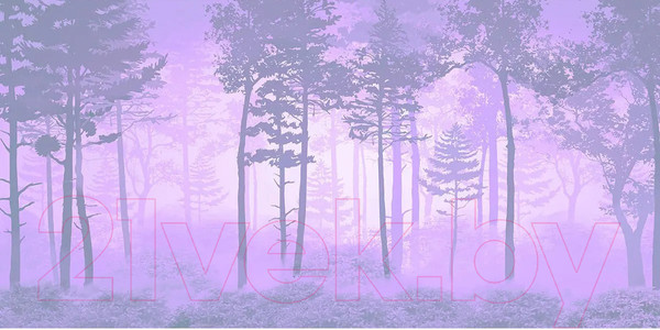 Изображение товара Фотообои листовые Citydecor Таинственный лес 13 (300x150см)