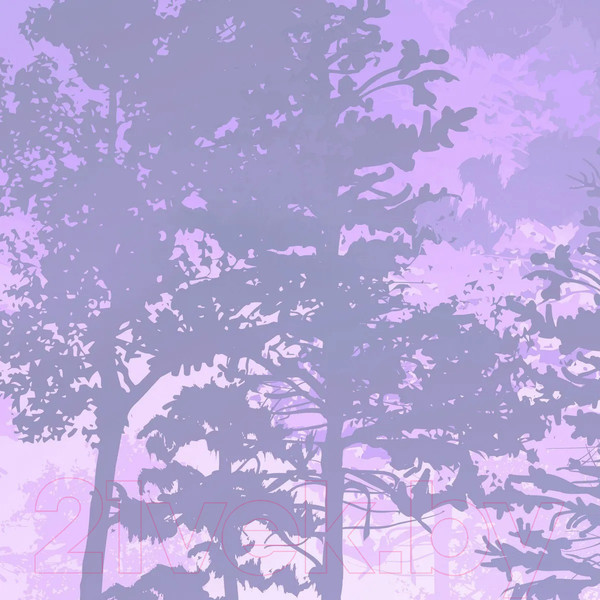 Изображение товара Фотообои листовые Citydecor Таинственный лес 13 (300x150см)