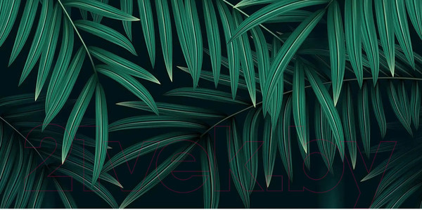 Изображение товара Фотообои листовые Citydecor Цветы и Растения 137 (300x150см)