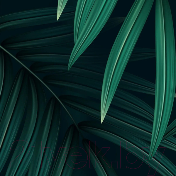 Изображение товара Фотообои листовые Citydecor Цветы и Растения 137 (300x150см)