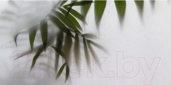 Изображение товара Фотообои листовые Citydecor Цветы и Растения 158 (300x150см)