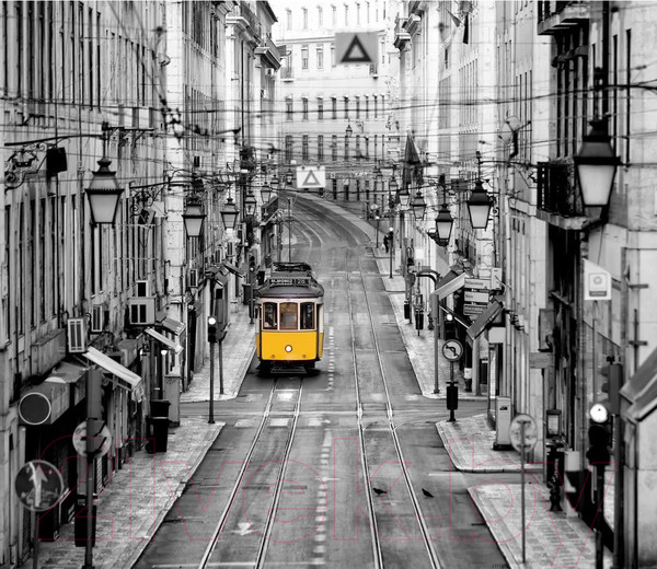 Изображение товара Фотообои листовые Citydecor Города и Архитектура 51 (300x260см)