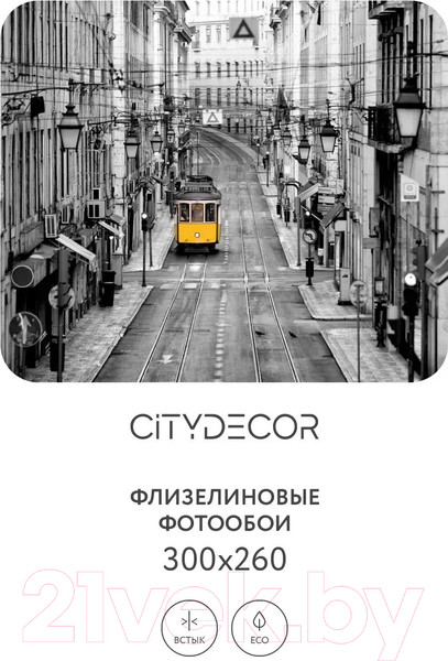 Изображение товара Фотообои листовые Citydecor Города и Архитектура 51 (300x260см)