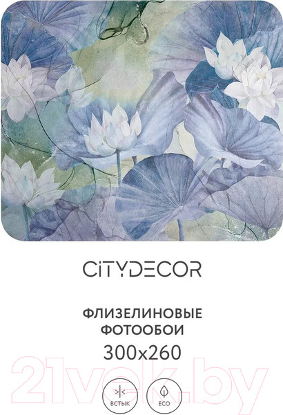 Изображение товара Фотообои листовые Citydecor Blossom 18 (300x260см)