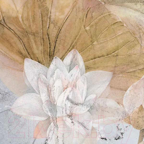 Изображение товара Фотообои листовые Citydecor Blossom 21 (300x260см)