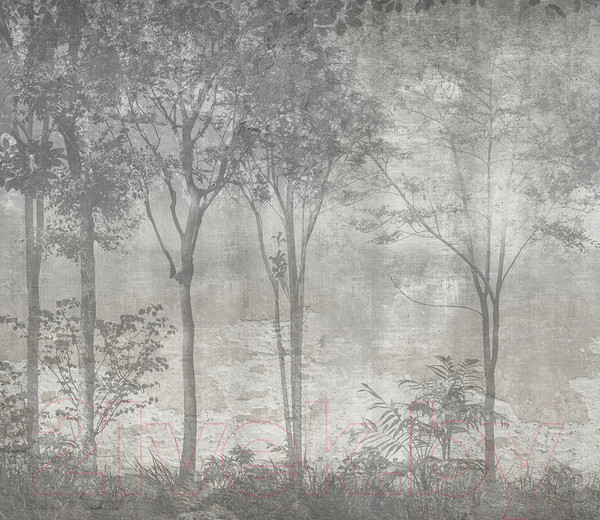 Изображение товара Фотообои листовые Citydecor Dark Side 34 (300x260см)