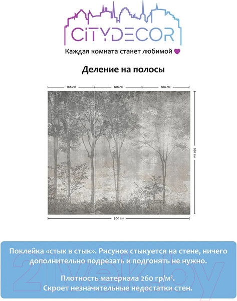 Изображение товара Фотообои листовые Citydecor Dark Side 34 (300x260см)