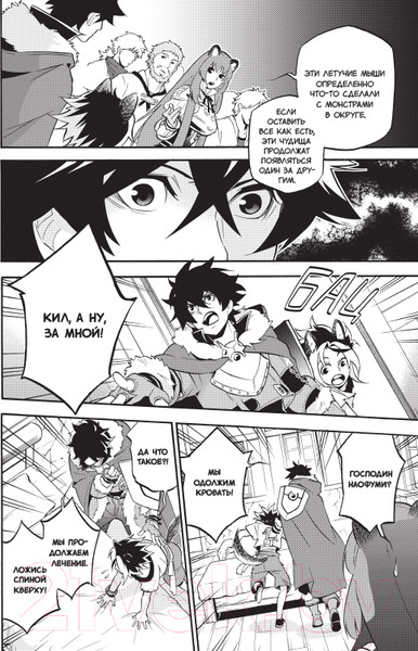 Изображение товара Манга XL Media Восхождение Героя Щита. Том 13 / 9785919963202 (Айя К., Анэко Ю.)