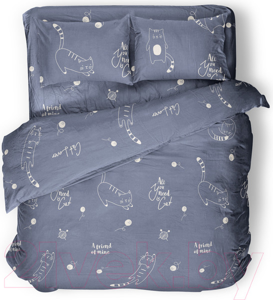 Изображение товара Комплект постельного белья Samsara Дуэт 320-6 (бязь)