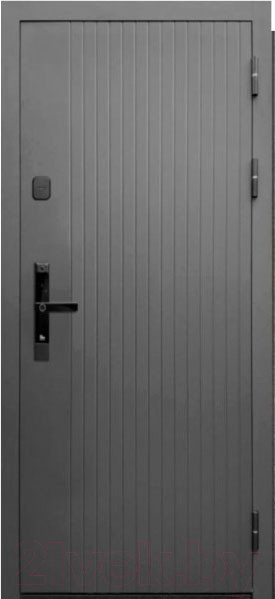 Изображение товара Входная дверь ТайгА Зеркало 2Мдф 10см (96x205, правая)