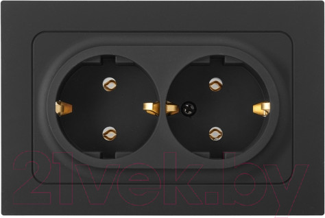 Изображение товара Розетка Bylectrica РС16-0542 (карбон)