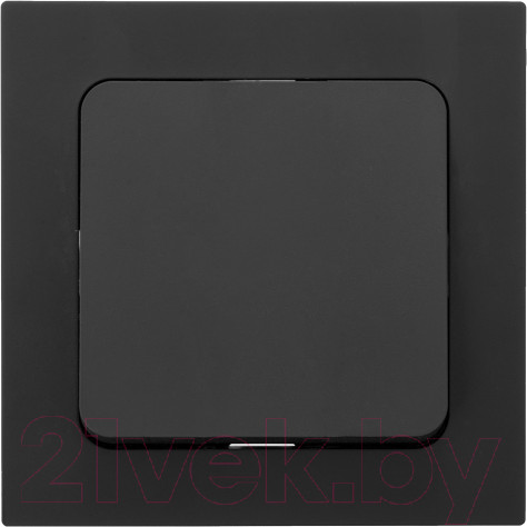 Изображение товара Рамка для выключателей и розеток Bylectrica Юлиг 735212.571 (карбон)